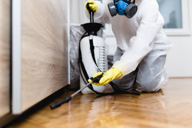 Best Flea Control Services  in Palouse, WA