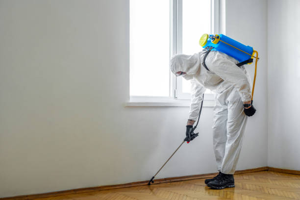 Best Best Pest Control Companies  in Palouse, WA