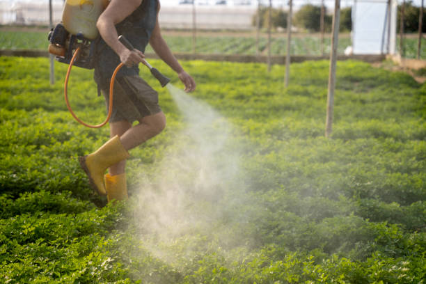 Best Mosquito Control Services  in Palouse, WA
