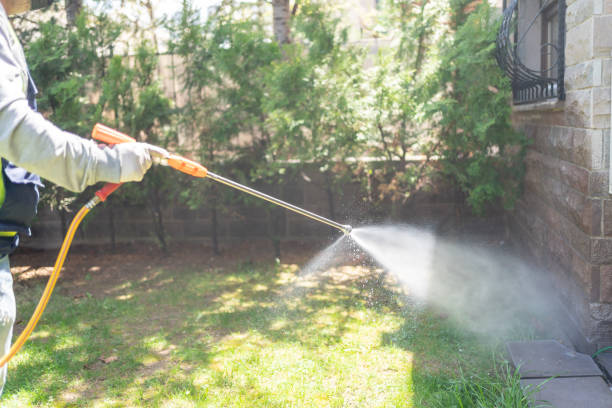 Best Spider Control Near Me  in Palouse, WA