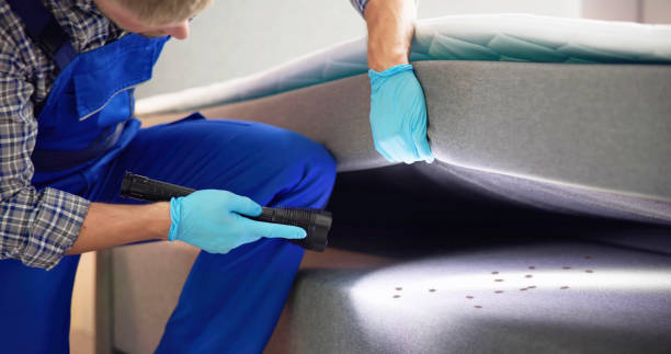 Best Local Pest Control Services  in Palouse, WA
