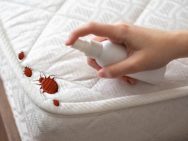 Best Termite Control Services  in Palouse, WA