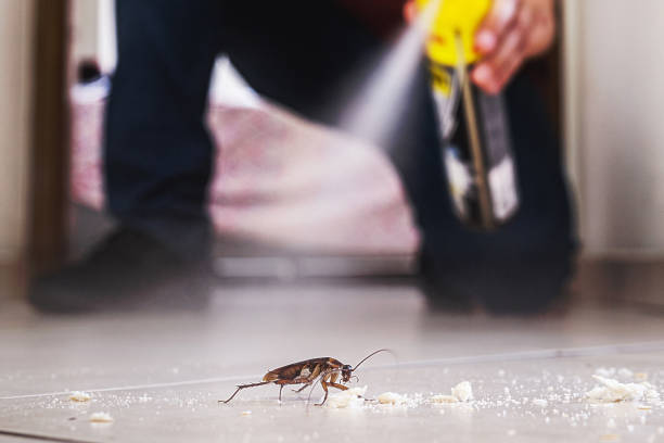 Best Cockroach Control Services  in Palouse, WA