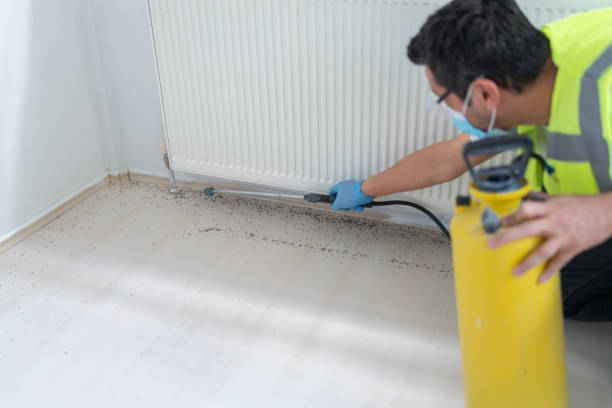 Best Flea Control Services  in Palouse, WA