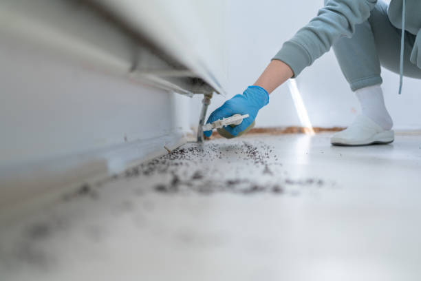 Palouse, WA Pest Control Company