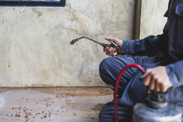 Best Pest Removal Services  in Palouse, WA