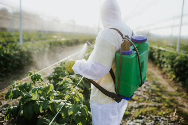 Best Rat Extermination Near Me  in Palouse, WA